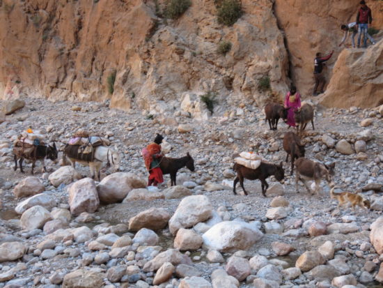 Berber women, Todra Gorge, Morocco