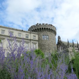 On a budget? Discover 15 FREE things to do while visiting Dublin, Ireland