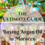 Essential Guide to Buying Argan Oil in Morocco