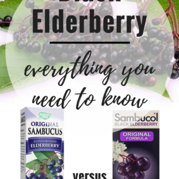 Everything You Need to Know About Black Elderberry