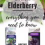 Everything You Need to Know About Black Elderberry