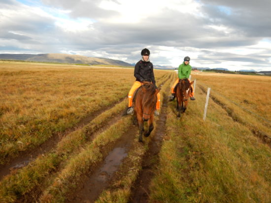My horse riding adventures in Iceland.