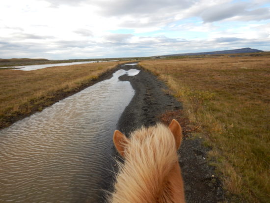 Horse riding in Iceland, Self Drive Iceland Itinerary: Driving the Ring Road and Golden Circle