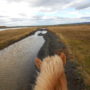 Horse Trekking Adventure in Iceland