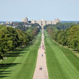 The Long Walk. Exploring Windsor Castle & Windsor Great Park