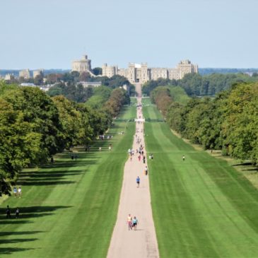 Exploring Windsor Castle & Windsor Great Park