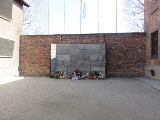 The death wall. My Visit to Auschwitz-Birkenau Memorial and Museum