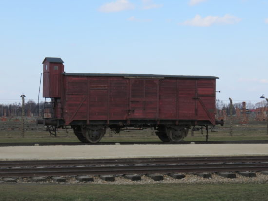 Cattle freight cars used to transport prisoners into Birkenau. My Visit to Auschwitz-Birkenau Memorial and Museum