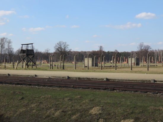 My Visit to Auschwitz-Birkenau Memorial and Museum