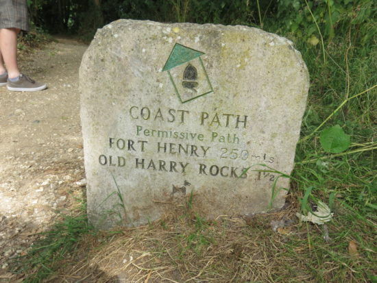 Coastal path to Old Harry Rocks. Exploring the Jurassic Coastline of Dorset England
