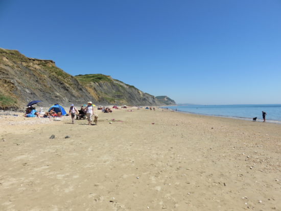 Charmouth beach. Exploring the Jurassic Coastline of Dorset England