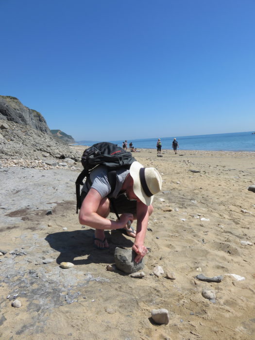 Fossil hunting on Charmouth beach. Exploring the Jurassic Coastline of Dorset England