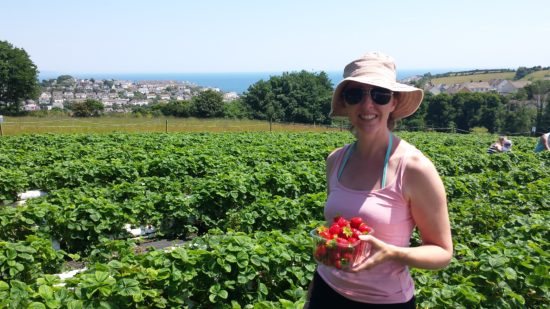 Picking strawberries at Boddingtons. Self-Drive Itinerary Around the Coast of Cornwall England