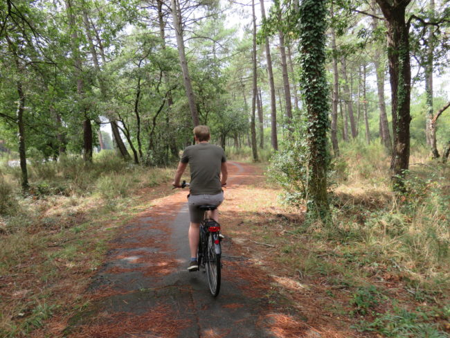 Cycling through the pine forest on the way to Lac de Cazaux. What to see and do in Arcachon France #france #francetravel #arcachon