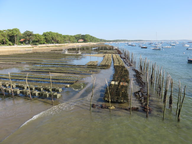 Oyster Farm at Cap Ferret. How to Spend a Day in Cap Ferret #france #francetravel #capferret