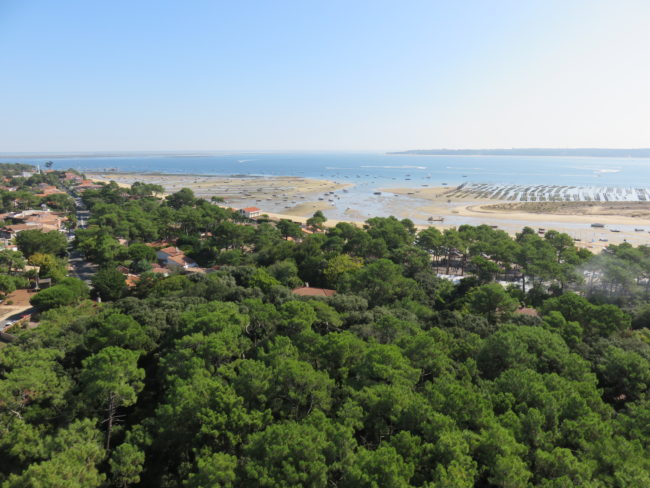 Views from the Cap Ferret lighthouse. How to Spend a Day in Cap Ferret #france #francetravel #capferret