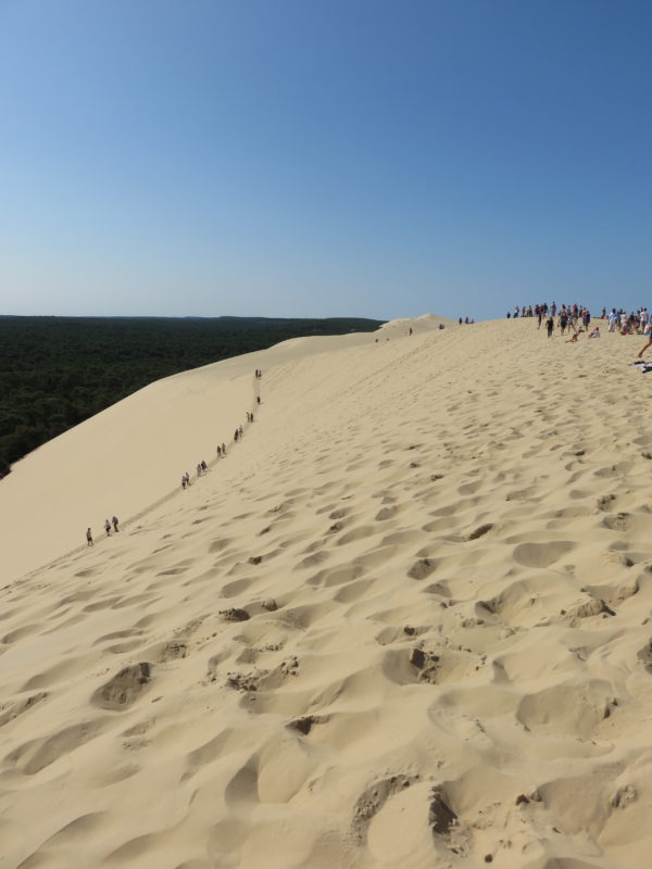 Views from the top of Dune du Pilat. What to see and do in Arcachon France #france #francetravel #arcachon