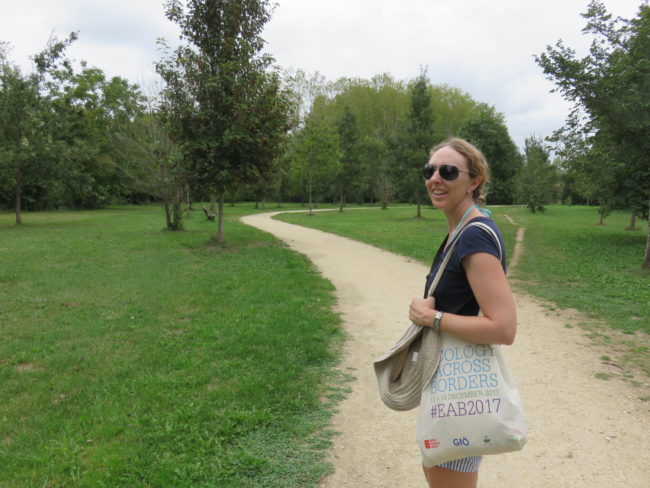 Paths through Parc Public de Pombonne. Exploring the historic French town of Bergerac #france #francetravel