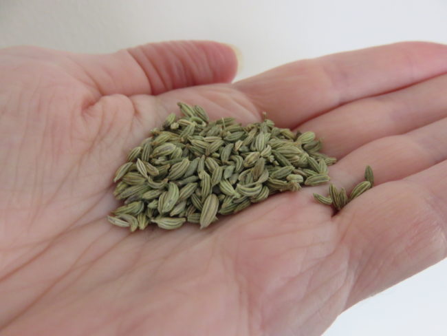 Fennel seeds. Herbal tea recipe that eliminates sugar cravings and aides IBS #ibs #irritablebowelsyndrome #ibsrelief #herbaltea