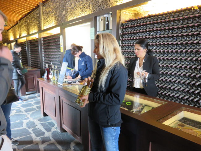 Bodegas Rubicón tasting room. A unique wine tour in Lanzarote Canary Islands #lanzarote #spain #winetour 