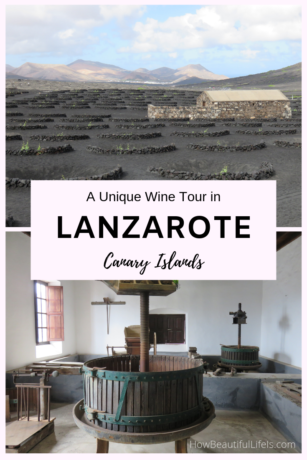 A unique wine tour in the volcanic island of Lanzarote Canary Islands #lanzarote #spain #winetour