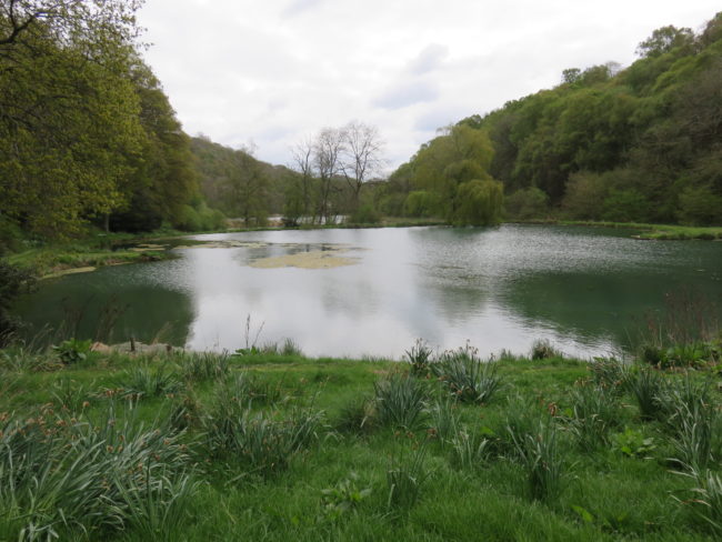 Fishing lakes in the Howardian Hills. Exploring Yorkshire's Howardian Hills: Area of Outstanding Natural Beauty