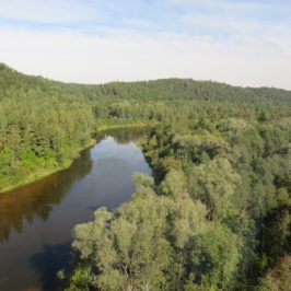Gauja Valley. What to see and do in Sigulda, Gauja Valley, Latvia