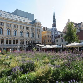 Līvu Laukums. What to see and do for two days in Latvia's Capital City of Rīga #riga #latvia