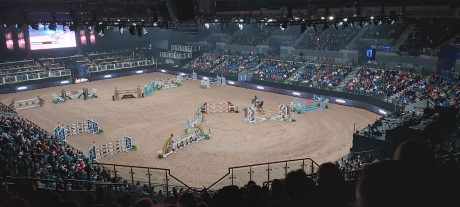 International Horse Show at the Liverpool Arena. Weekend Trip to Liverpool #liverpool
