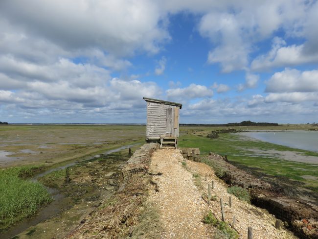 Newtown National Nature Reserve. What to see and do in the Isle of Wight