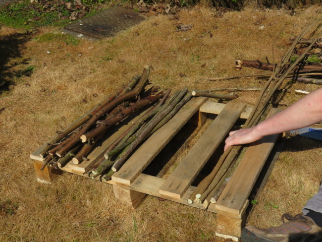 Cutting the sticks down to size. How to Make Your Own Insect Hotel