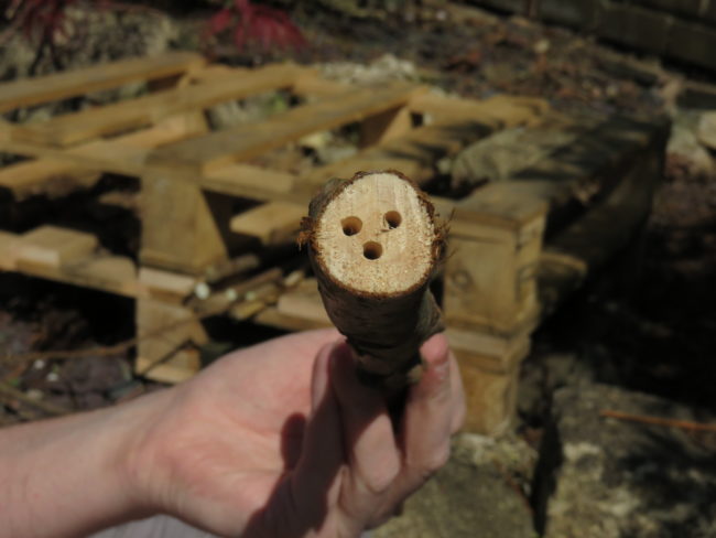 Drill holes into sticks. How to Make Your Own Insect Hotel