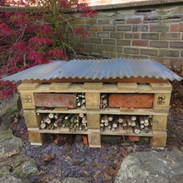How to Make Your Own Insect Hotel Using Pellets