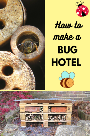 How to Make Your Own Insect Bug Bee Hotel Using Pellets